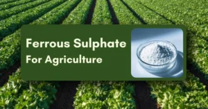 Ferrous Sulphate for Agriculture: Composition, Uses, and Benefits